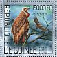 White-rumped Vulture Gyps bengalensis  2014 Birds Sheet