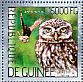 Little Owl Athene noctua  2014 Owls Sheet