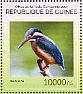 Common Kingfisher Alcedo atthis  2014 Kingfishers Sheet