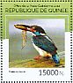 Malaysian Blue-banded Kingfisher Alcedo peninsulae  2014 Kingfishers Sheet