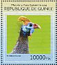 Helmeted Guineafowl Numida meleagris  2014 Guineafowls Sheet