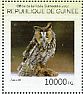 Long-eared Owl Asio otus  2014 Owls Sheet