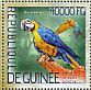 Blue-and-yellow Macaw Ara ararauna  2014 Parrots  MS