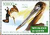 Brown Pelican Pelecanus occidentalis  2015 Waterbirds Sheet