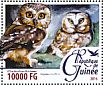 Northern Saw-whet Owl Aegolius acadicus  2016 Owls Sheet
