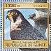 Peregrine Falcon Falco peregrinus  2016 Birds of prey Sheet