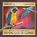 Blue-throated Macaw Ara glaucogularis  2016 Animals in danger of extinction  MS