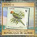 Golden-capped Parakeet Aratinga auricapillus  2016 Stamps on stamps 4v sheet