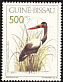 Saddle-billed Stork Ephippiorhynchus senegalensis