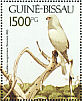 Lizard Buzzard Kaupifalco monogrammicus  1991 Birds  MS