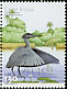 Black Heron Egretta ardesiaca  2001 Water birds Strip