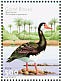 Spur-winged Goose Plectropterus gambensis  2001 Water birds Sheet