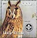 Long-eared Owl Asio otus  2001 Owls  MS MS