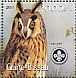 Long-eared Owl Asio otus