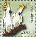 Sulphur-crested Cockatoo Cacatua galerita  2001 Parrots Sheet