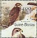 Eurasian Sparrowhawk Accipiter nisus  2001 Raptors Sheet
