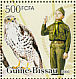 Common Buzzard Buteo buteo  2006 Birds of prey, Scouts Sheet