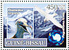 Waved Albatross Phoebastria irrorata  2007 Polar year Sheet