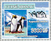 Southern Rockhopper Penguin Eudyptes chrysocome  2007 Birds  MS