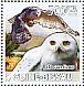 Snowy Owl Bubo scandiacus  2008 Owls Sheet
