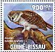 Boreal Owl Aegolius funereus  2011 Owls Sheet