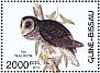 Lesser Sooty Owl Tyto multipunctata  2012 Owls  MS