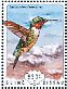 Ruby-throated Hummingbird Archilochus colubris  2014 Hummingbirds Sheet