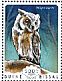 Northern White-faced Owl Ptilopsis leucotis  2014 Owls Sheet