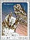 African Scops Owl Otus senegalensis  2014 Owls Sheet