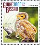Spotted Wood Owl Strix seloputo