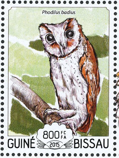 oriental bay owl stamps mainly images gallery format