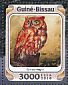 Eastern Screech Owl Megascops asio  2016 Owls  MS