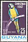 Blue-and-yellow Macaw Ara ararauna  1967 Christmas 
