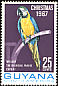 Blue-and-yellow Macaw Ara ararauna