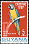 Blue-and-yellow Macaw Ara ararauna  1968 New colour 