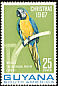 Blue-and-yellow Macaw Ara ararauna  1968 New colour 