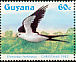 Swallow-tailed Kite Elanoides forficatus  1984 Christmas Strip