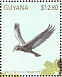 Black Vulture Coragyps atratus  1990 Tropical birds of Guyana Sheet