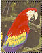 Scarlet Macaw Ara macao