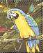 Blue-and-yellow Macaw Ara ararauna  1990 Tropical birds of Guyana Sheet