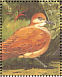 Ruddy Quail-Dove Geotrygon montana  1990 Tropical birds of Guyana Sheet