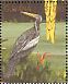 Anhinga Anhinga anhinga  1990 Tropical birds of Guyana Sheet