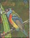 Toucan Barbet Semnornis ramphastinus  1990 Rare and endangered birds of South America Sheet