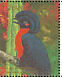 Bare-necked Umbrellabird Cephalopterus glabricollis  1990 Rare and endangered birds of South America Sheet
