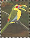 Saffron Toucanet Pteroglossus bailloni  1990 Rare and endangered birds of South America Sheet