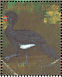 Red-billed Curassow Crax blumenbachii  1990 Rare and endangered birds of South America Sheet