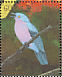 Lovely Cotinga Cotinga amabilis  1990 Rare and endangered birds of South America Sheet