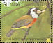 Toucan Barbet Semnornis ramphastinus  1990 Rare and endangered wildlife of South America 20v sheet