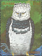 Harpy Eagle Harpia harpyja  1990 Rare and endangered wildlife of South America  MS