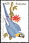 Blue-and-yellow Macaw Ara ararauna  1990 Birds of Guyana 